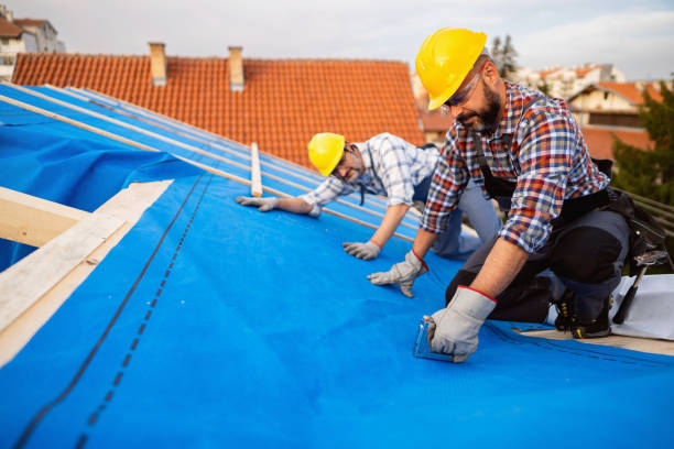 Best New Roof Installation  in Corvallis, MT